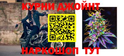 гидра Волгодонск