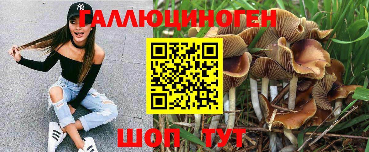 Бугульма  Галлюциногенные грибы ЛСД  купить закладку  Вход с VPN 