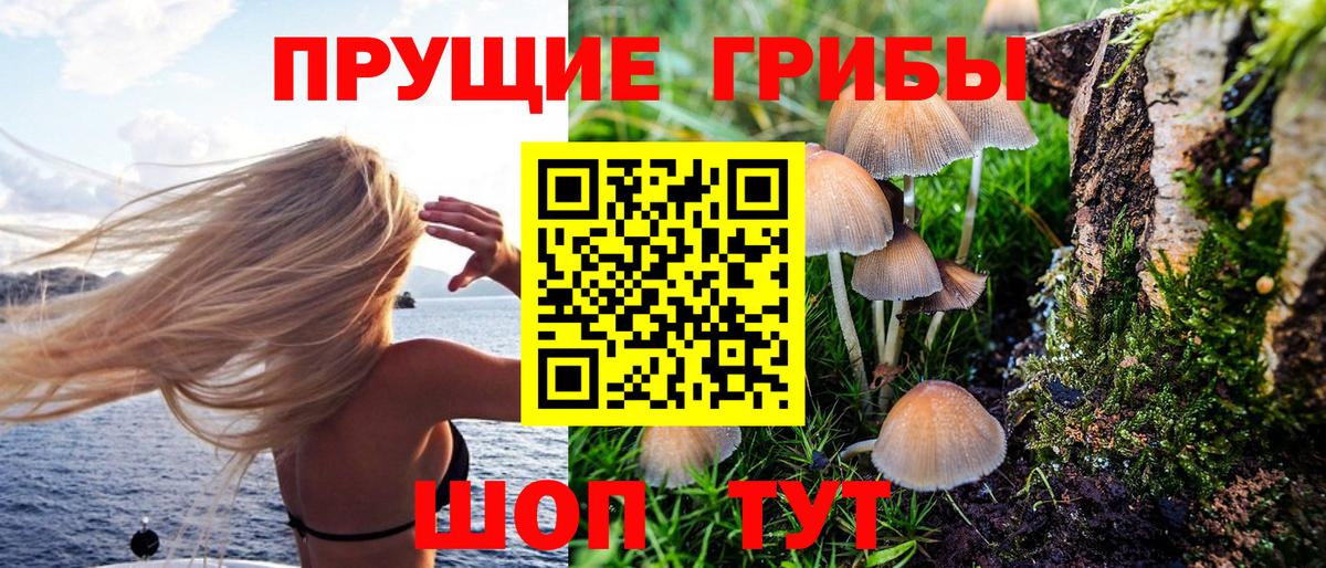 Галлюциногенные грибы ЛСД Бугульма